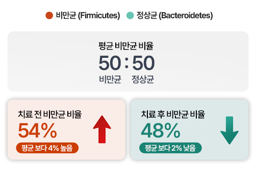 변한의원 비만 치료후 비만균 수치 변화 이미지