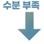 수분 부족