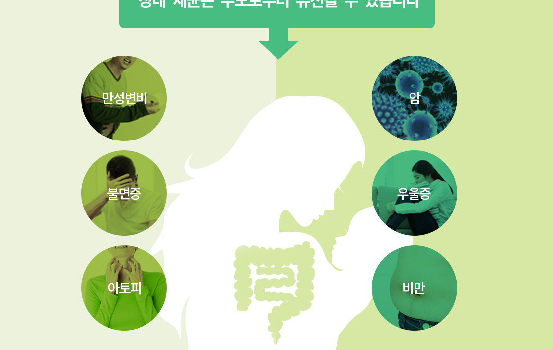 장내 세균은 부모로부터 유전될 수 있습니다. 만성변비, 불면증, 아토피, 암, 우울증, 비만