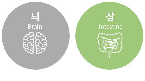 뇌&장