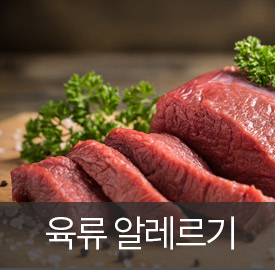 육류 알레르기