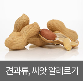 견과류, 씨앗 알레르기