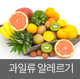 과일류 알레르기