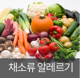 채소류 알레르기