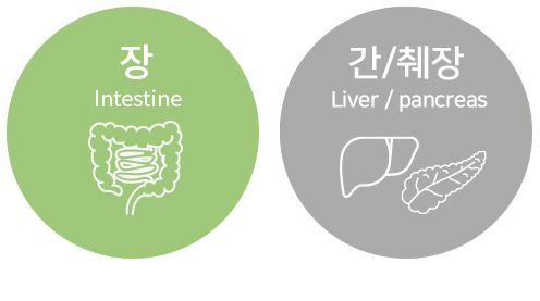 장을 치료해서 간 췌장을 치료한다