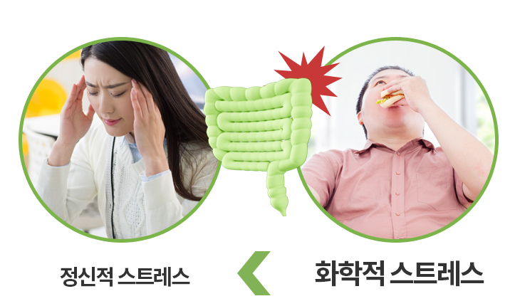 화학적 스트레스가 더 큰 사진 