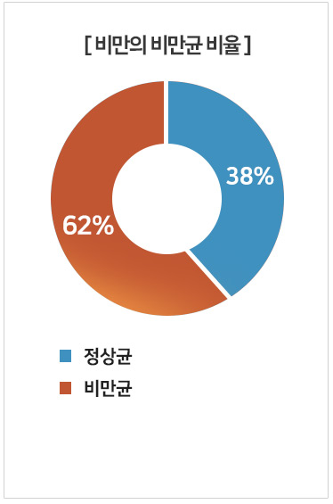 비만의 비만균 비율 : 비만균 62% / 정상균 38%