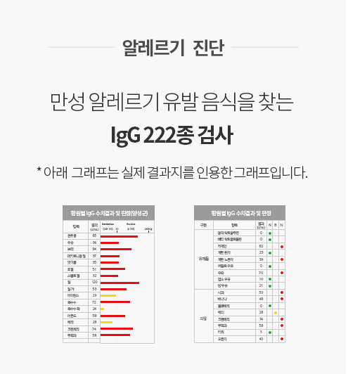 알레르기 진단, 만성 알레르기 유발 음식을 찾는 igG 222종 검사 이미지