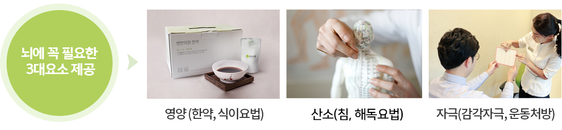 뇌에 꼭 필요한 3대요소 제공 / 영양(한약, 식이요법)/ 산소치료 / 자극(감각자극, 운동처방)