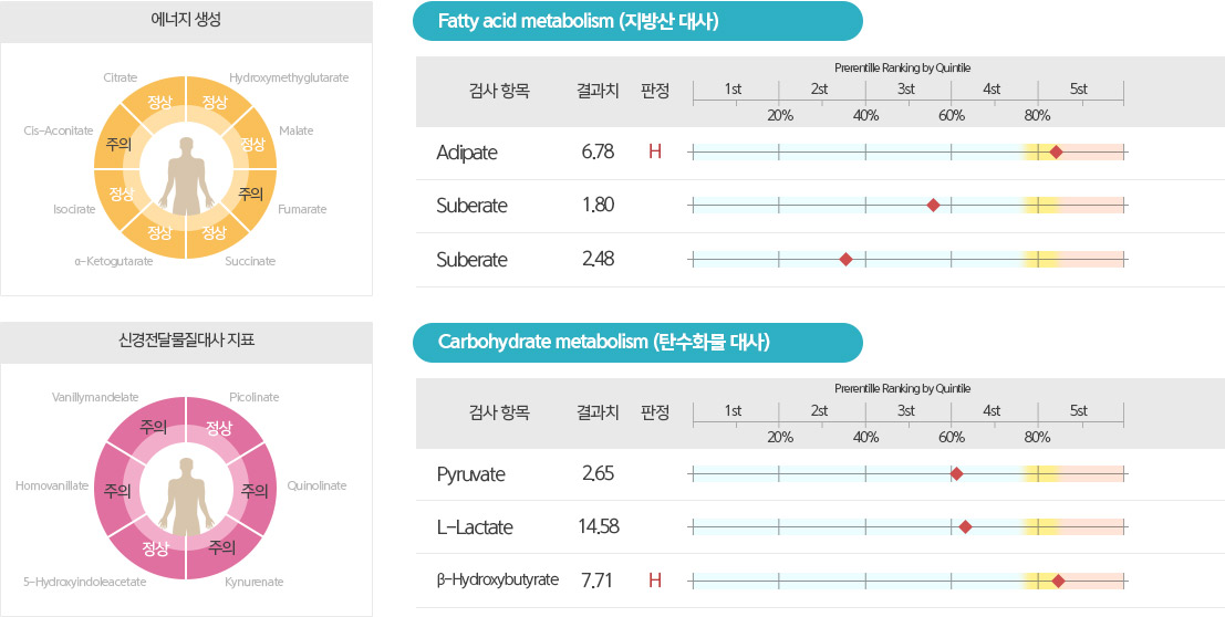 에너지 생성, Fatty acid metabolism (지방산 대사), 신경전달물질대사 지표, Carbohydrate metabolism (탄수화물 대사)
