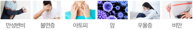 만성변비, 불면증, 아토피, 암, 우울증, 비만