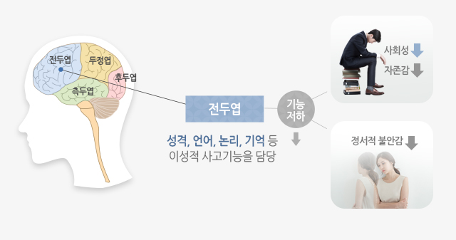 전두엽: 성격, 언어, 논리, 기억 등 이성적 사고기능을 담당 , 사회성, 자존감, 정서적 불안감