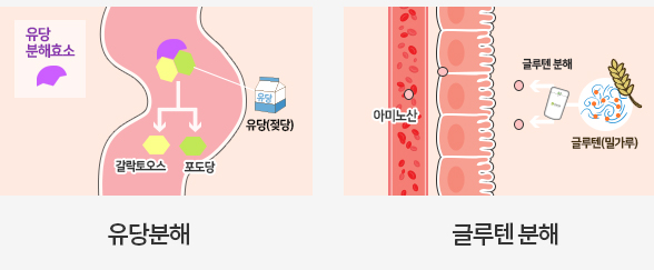 장비율 이미지