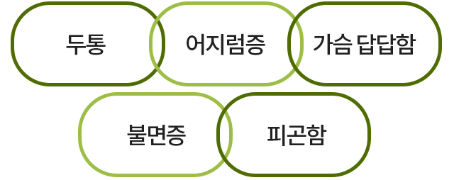 두통, 어지럼증, 가슴답답함, 불면증, 피곤함