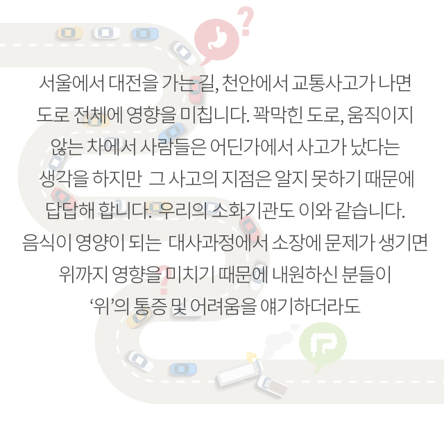 서울에서 대전을 가는 길, 천안에서 교통사고가 나면 도로 전체에 영향을 미칩니다. 꽉막힌 도로, 움직이지 않는 차에서 사람들은 어딘가에서 사고가 났다는 생각을 하지만  그 사고의 지점은 알지 못하기 때문에 답답해 합니다. 
					우리의 소화기관도 이와 같습니다.  음식이 영양이 되는  대사과정에서 소장에 문제가 생기면 위까지 영향을 미치기 때문에 내원하신 분들이 ‘위’의 통증 및 어려움을 얘기하더라도