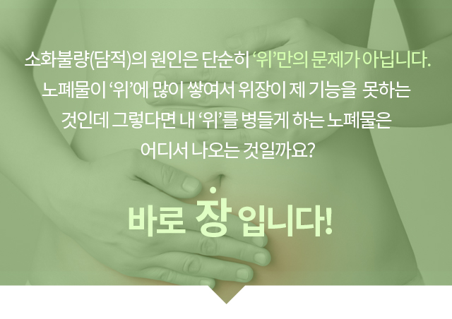 소화불량(담적)의 원인은 단순히 ‘위’만의 문제가 아닙니다. 노폐물이 ‘위’에 많이 쌓여서 위장이 제 기능을 못하는 것인데 그렇다면 내 ‘위’를 병들게 하는 노폐물은 어디서 나오는 것일까요? 바로 장입니다.