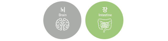 뇌&장 이미지