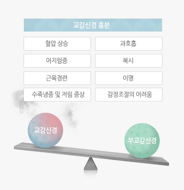 교감신경 흥분: 혈압상승, 과호흡, 어지럼증, 복시, 근육경련, 이명, 수족냉증 및 저림 증상, 감정조절의 어려움