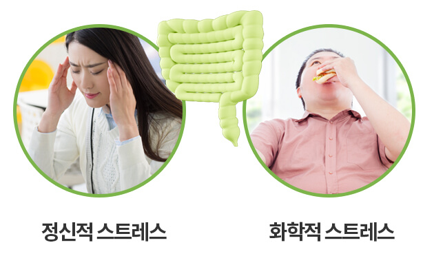 정식적 스트레스 , 화학적 스트레스 사진