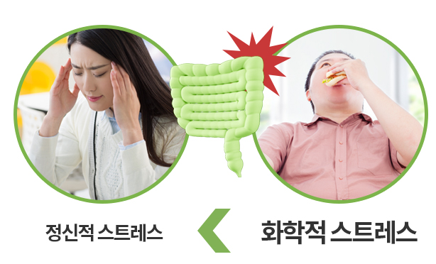 정식적 스트레스 , 화학적 스트레스 사진