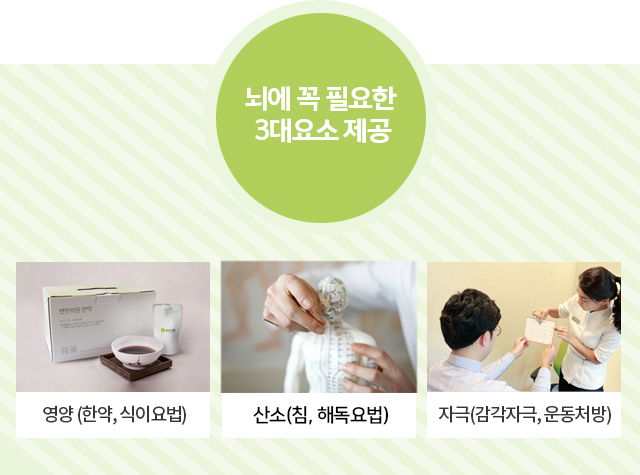 뇌에 꼭 필요한 3대요소 제공 : 영양(한약, 식이요법) , 산소치료, 자극(감각자극, 운동처방)