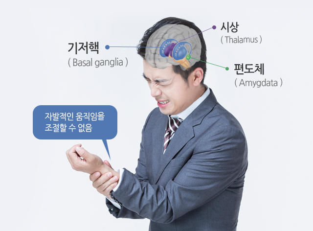 기저핵 : 자발적인 음직임을 조절할 수 없음 / 시상, 편도체 