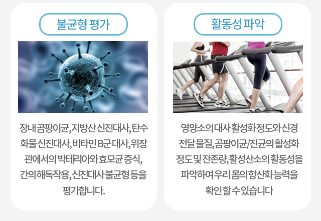 불균형 평가: 장내 곰팡이균, 지방산 신진대사, 탄수화물 신진대사, 비타민 B군 대사, 위장관에서의 박테리아와 효모균 증식, 간의 해독작용, 신진대사 불균형 등을 평가합니다. 활동성 파악:영양소의 대사 활성화 정도와 신경전달물질, 곰팡이균/진균의 활성화 정도 및 잔존량, 활성산소의 활동성을 파악하여 우리 몸의 항산화 능력을 확인 할 수 있습니다