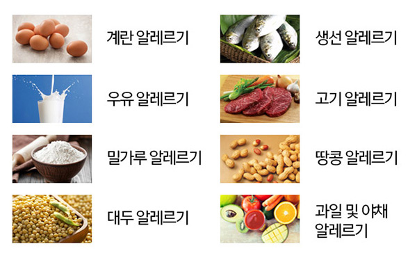 계란 알레르기, 생선 알레르기, 우유 알레르기, 고기 알레르기, 밀가루 알레르기, 땅콩 알레르기, 대두 알레르기, 과일 및 야채 알레르기 검사