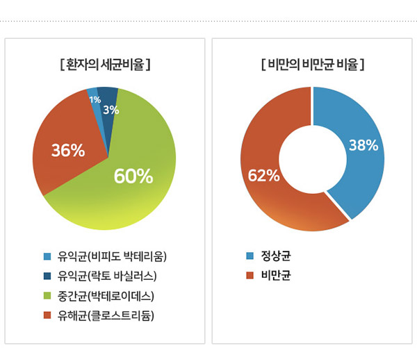 환자의 세균비율 : 유익균 1%, 유익균 3%, 중간균 60%, 유해균 36% , 비만의 비만균 비율: 비만균 62%, 정상균 38%