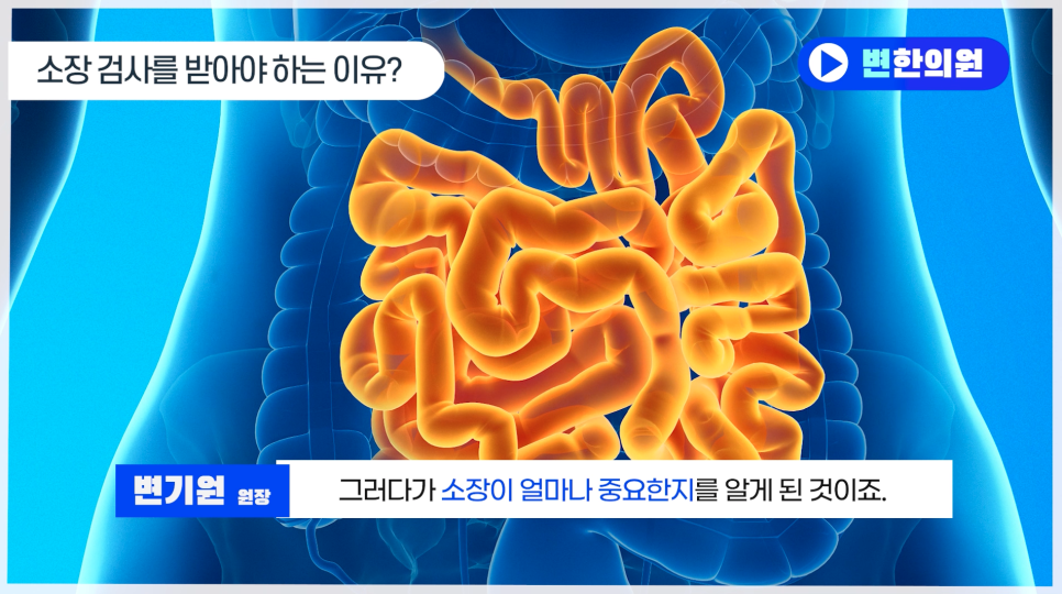 소장 이미지