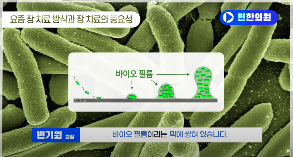 바이오필름 이미지