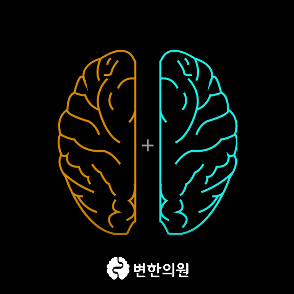 좌우뇌 이미지